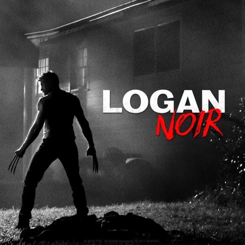 Poster for Logan Noir