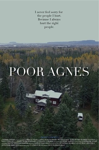 Poster for Poor Agnes