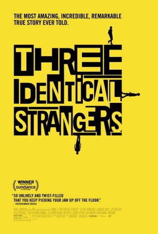 Poster for Three Identical Strangers