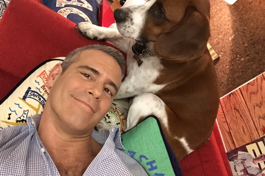 An Evening with Andy Cohen