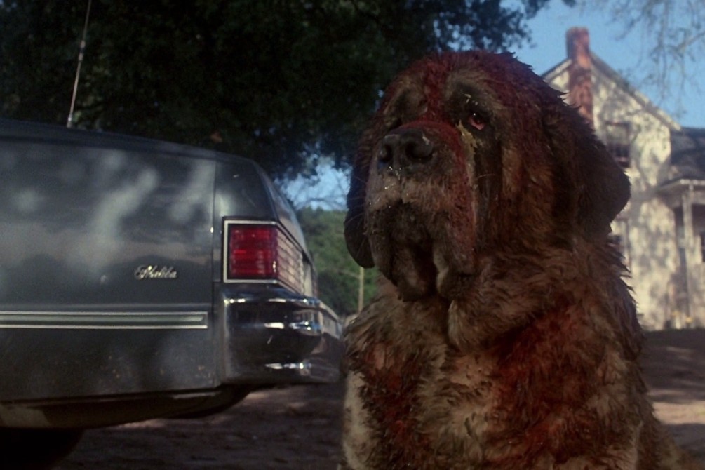 Cujo movie still