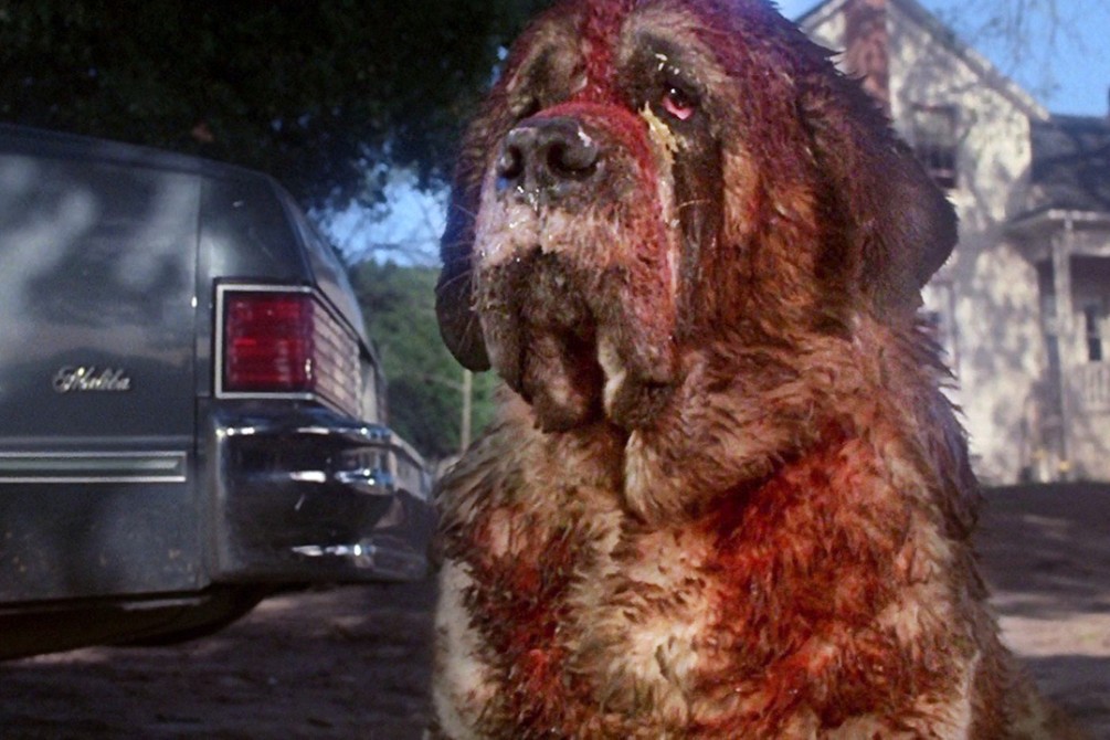 Greetings From Castle Rock: A Stephen King Festival