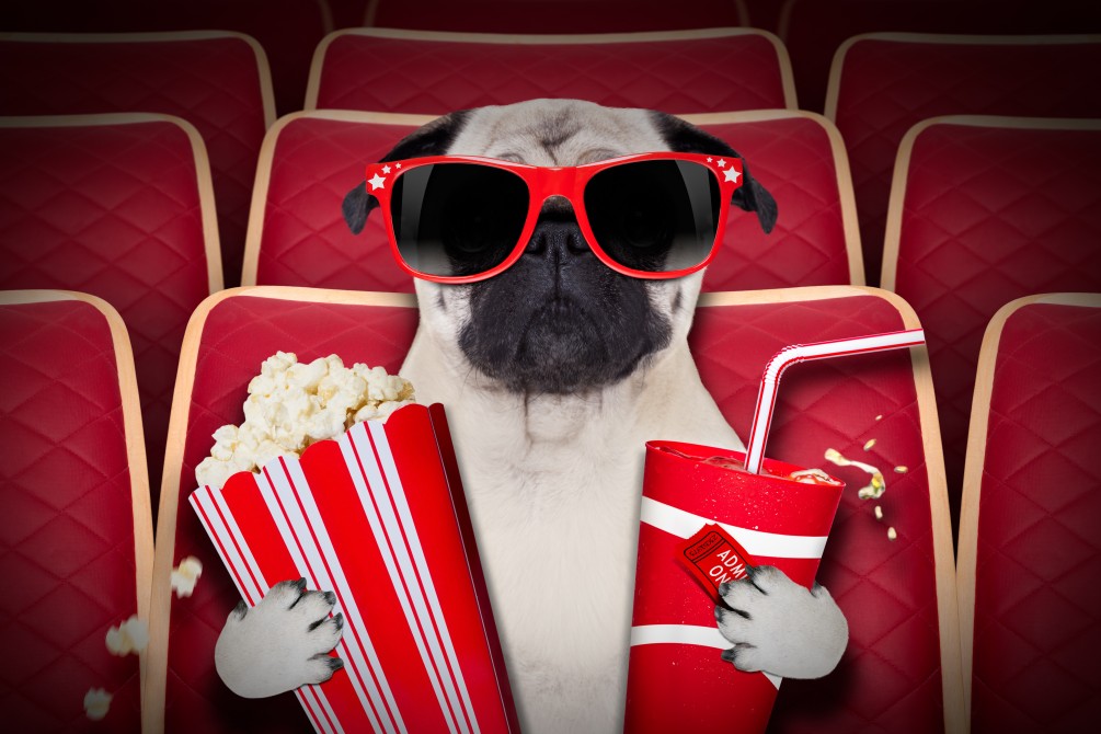 Dog Film Festival