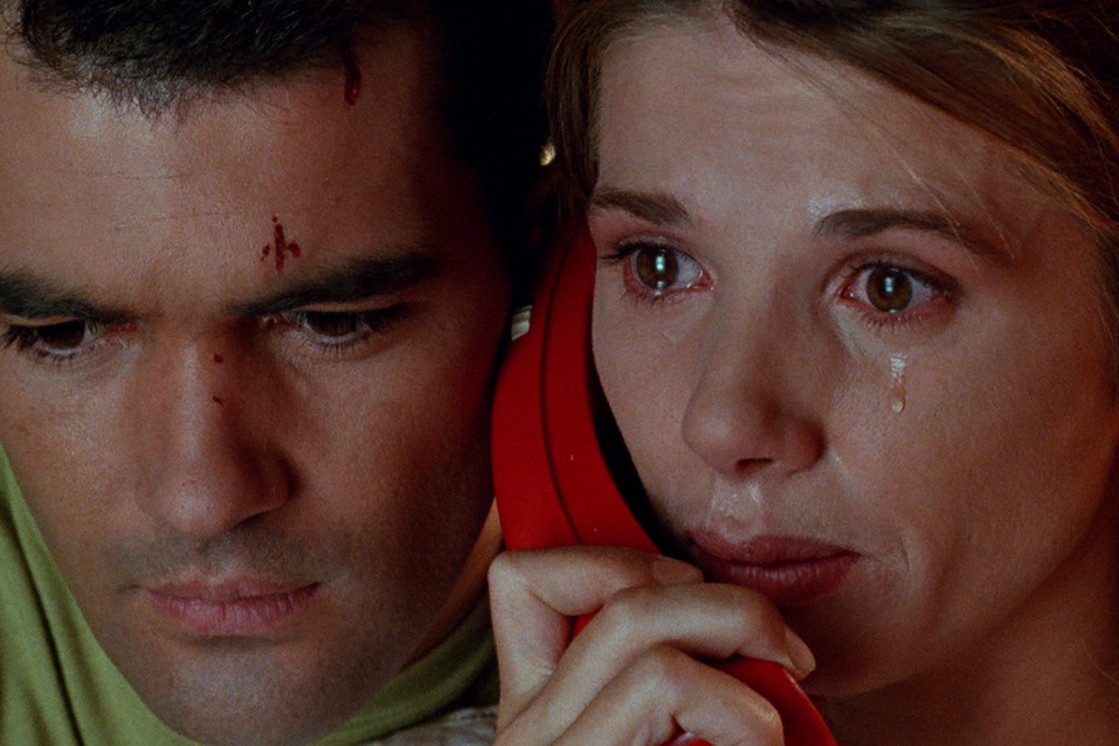 Tie Me Up! Tie Me Down! 2