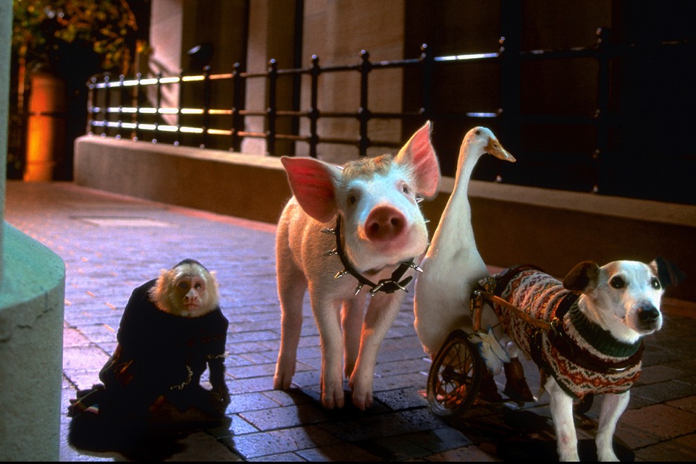 Babe: Pig in the City