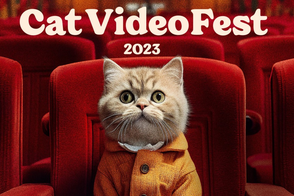 Catvideofest still