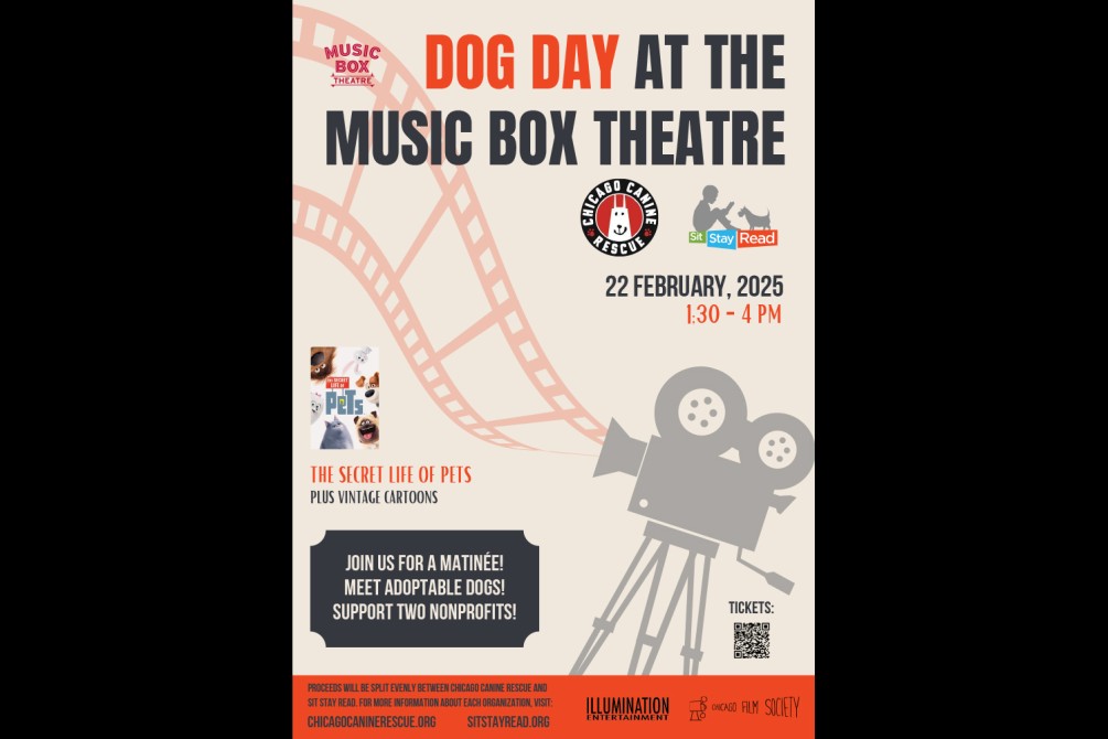 Dog Day at the Theatre
