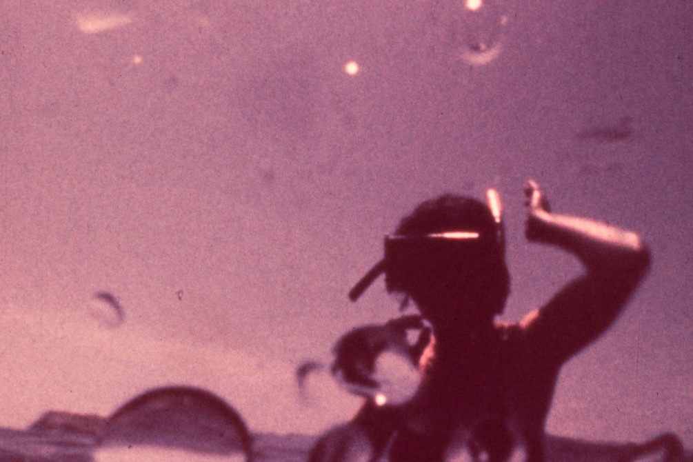 Pearl Diver