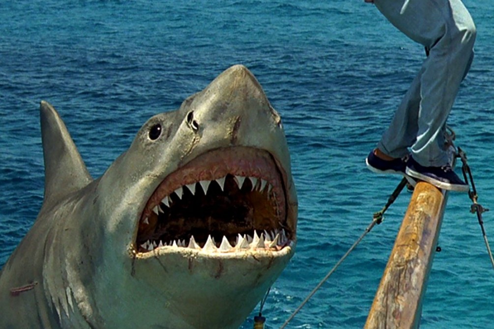 Jaws the Revenge