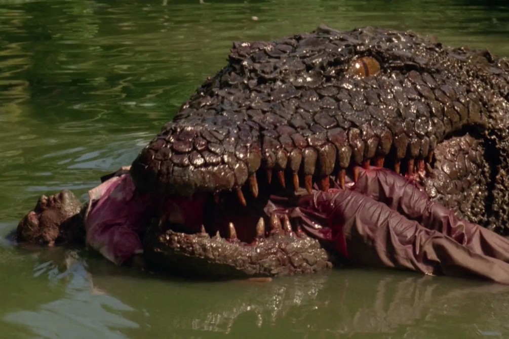 Killer Crocodile