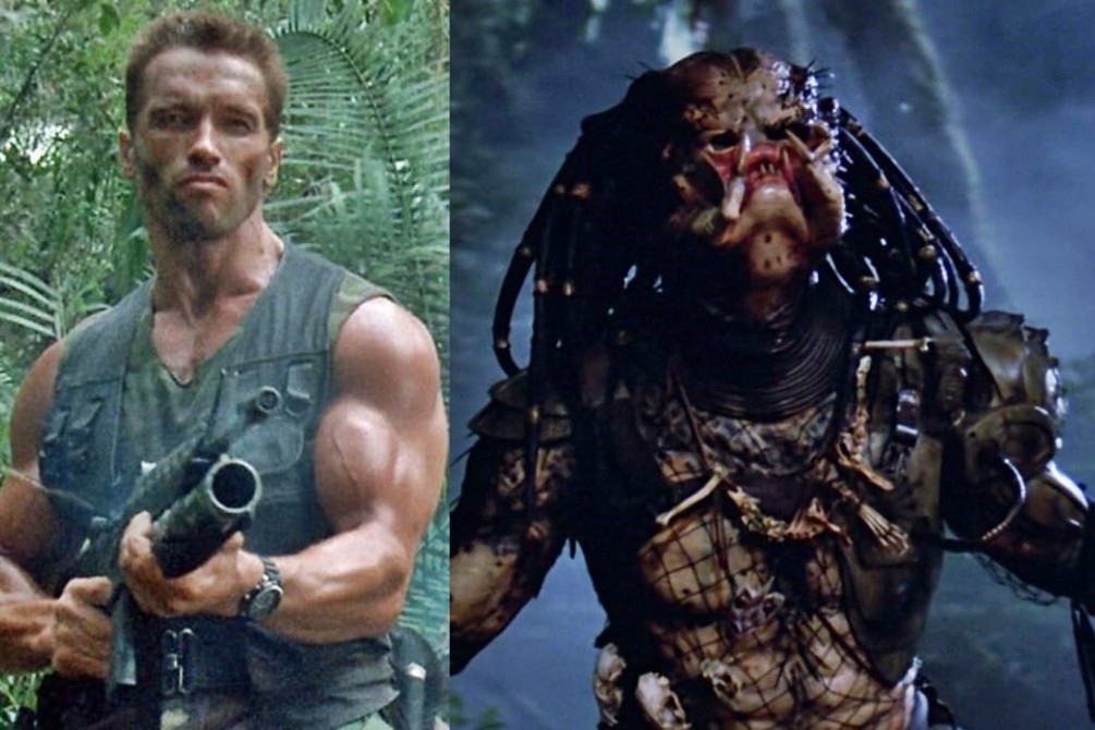 Predator Still