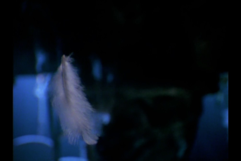 Zemeckis Secret Screening