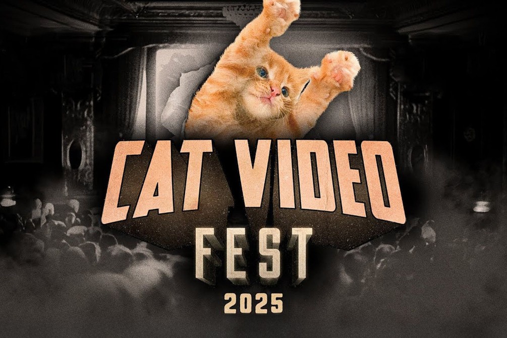 CatVideoFest 2025
