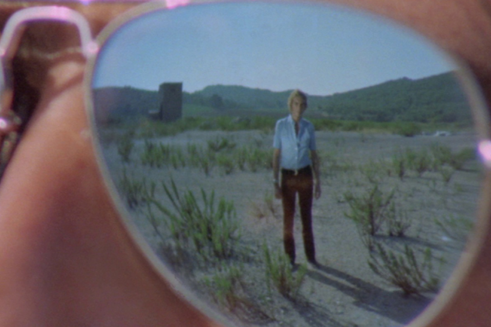 The Strange Vice of Mrs. Wardh