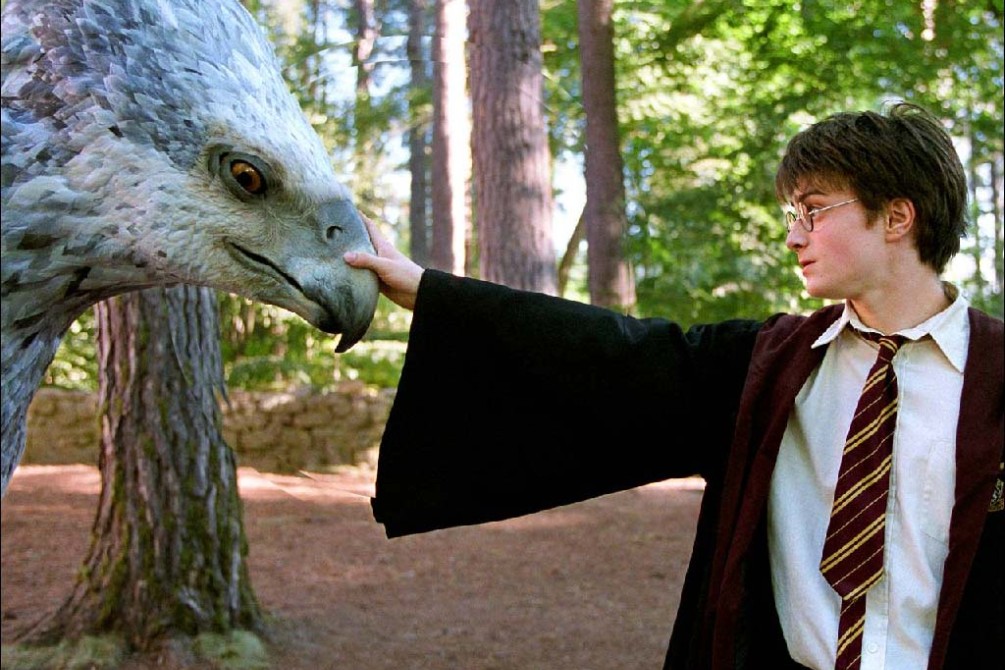 Midnight Party with HARRY POTTER AND THE PRISONER OF THE AZKABAN