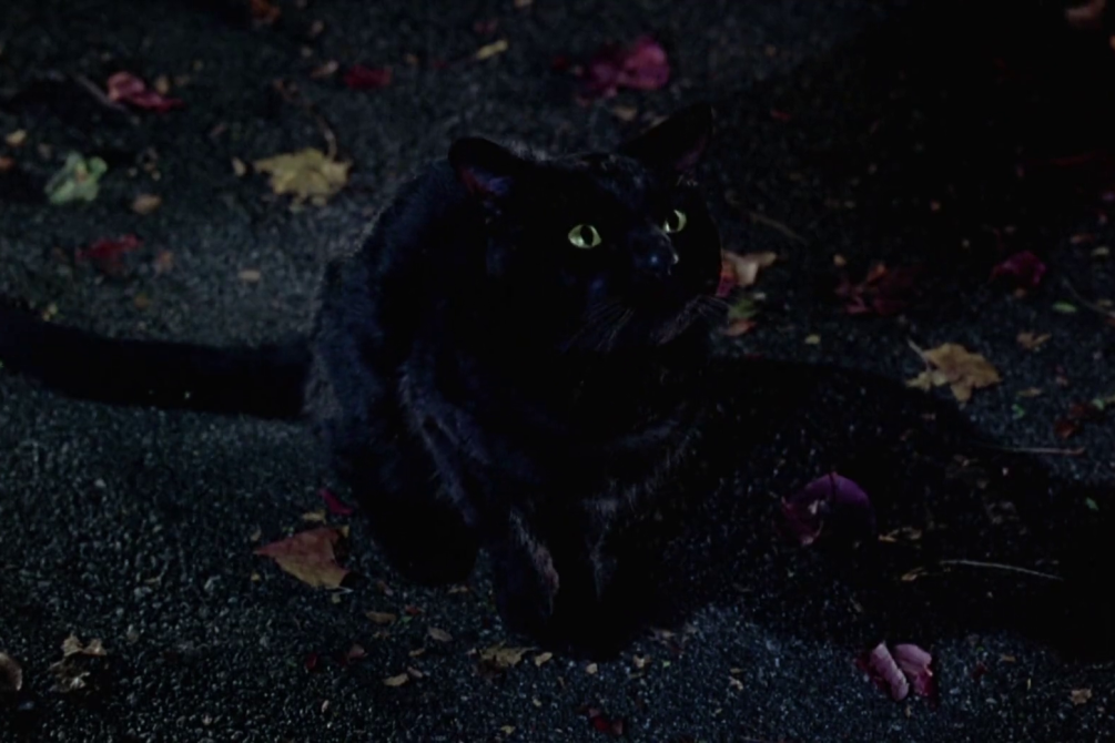 Hocus Pocus movie still