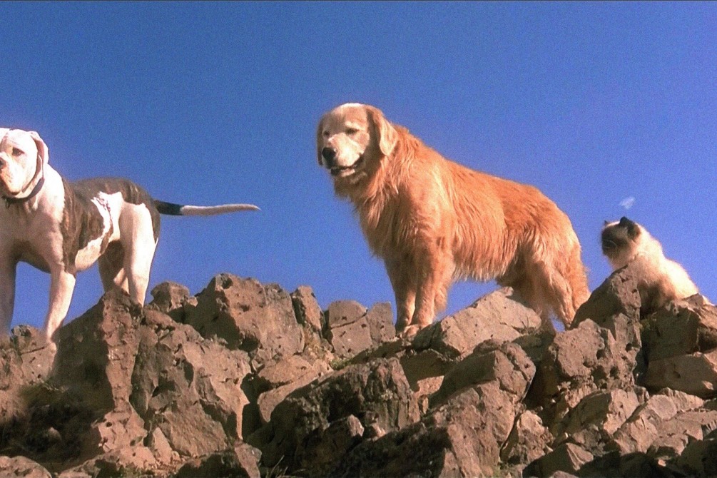 Live-Action Disney Films