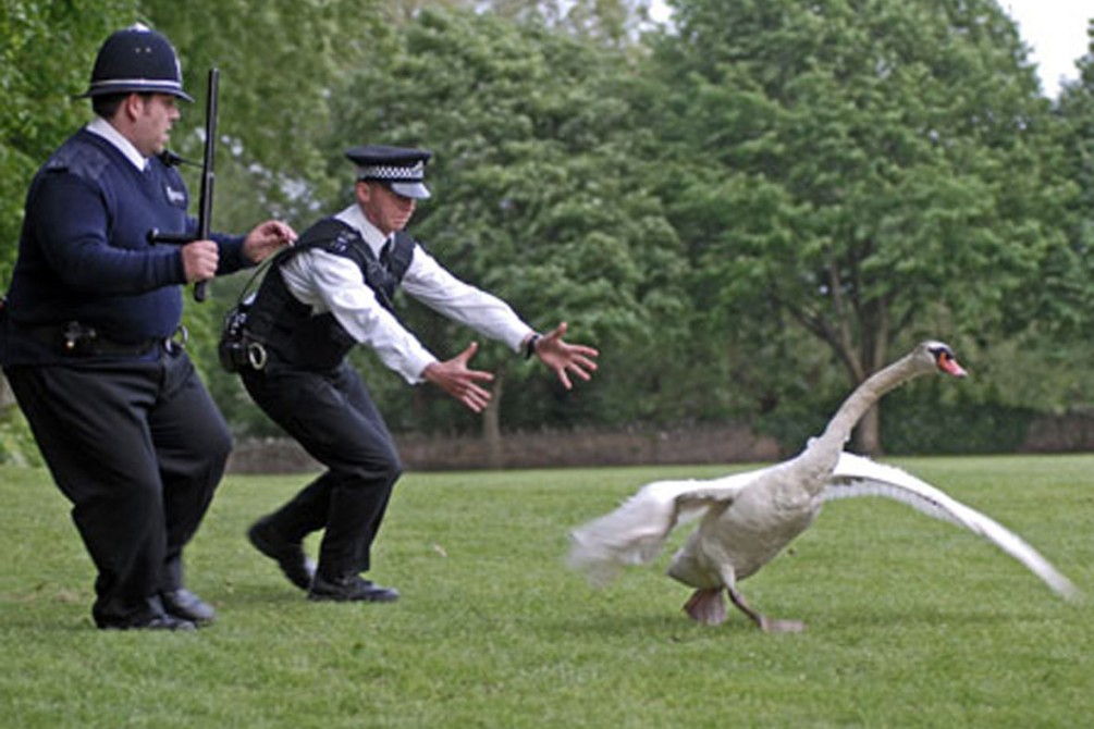 Hot Fuzz movie still