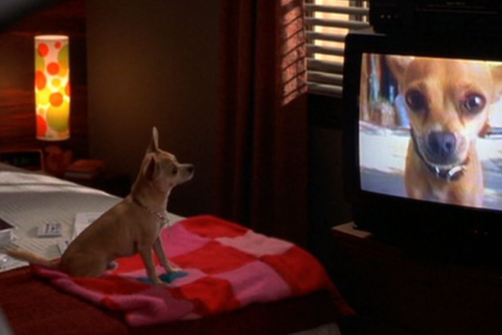 Legally Blonde movie still