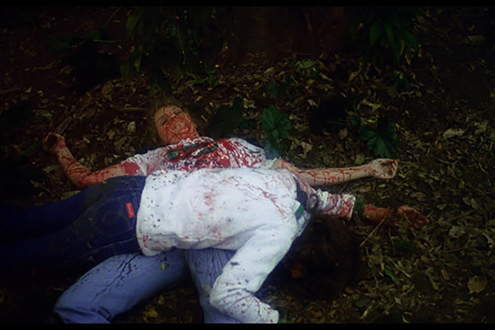 Night of the Bigfoot movie still