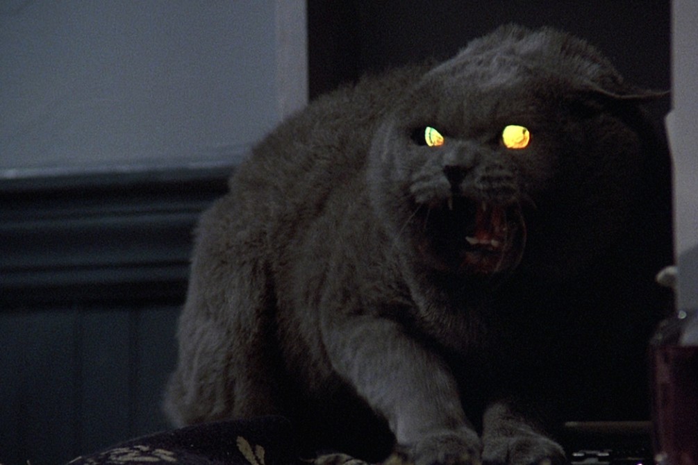Pet Sematary movie still