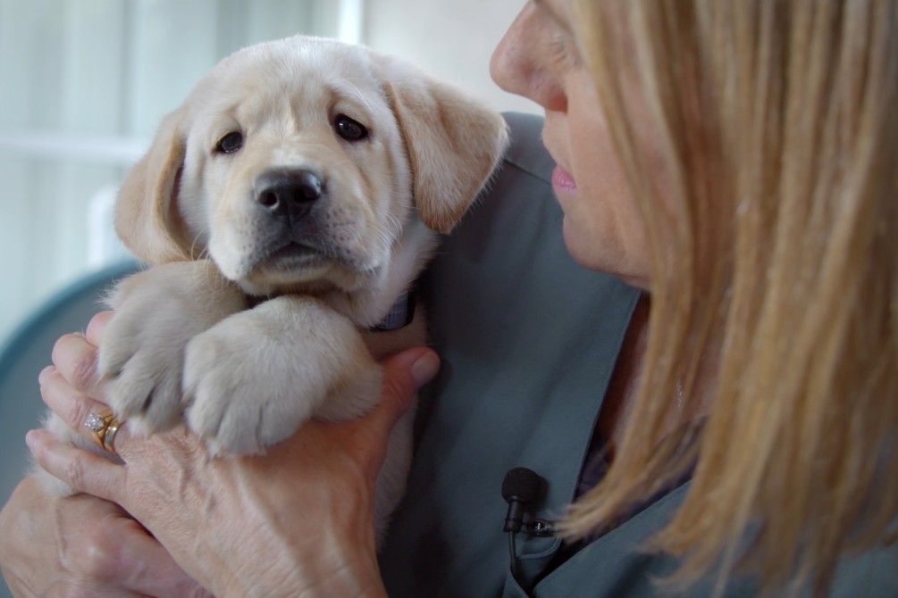 Pick of the Litter movie still