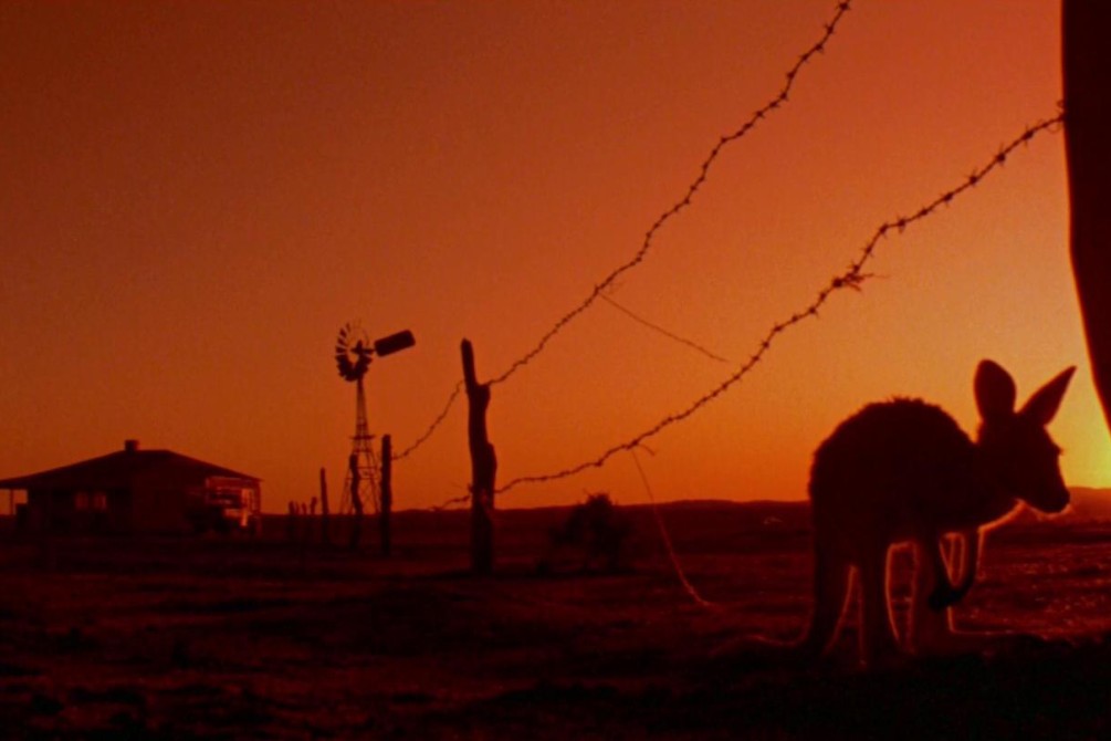 Razorback movie still