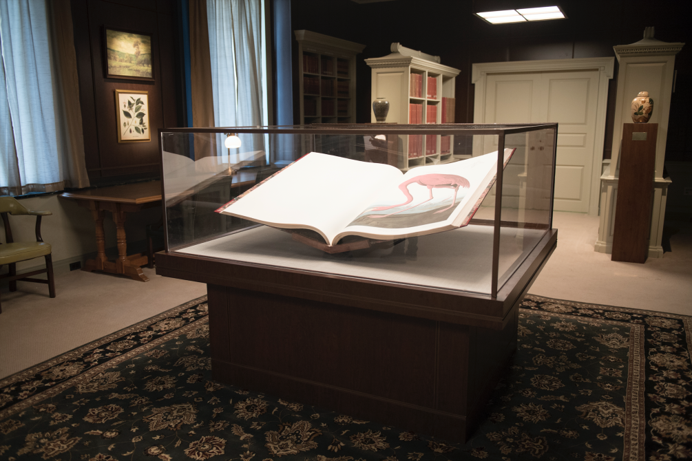 American Animals movie still