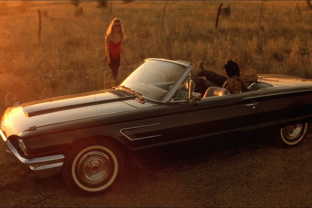 Wild at Heart movie still
